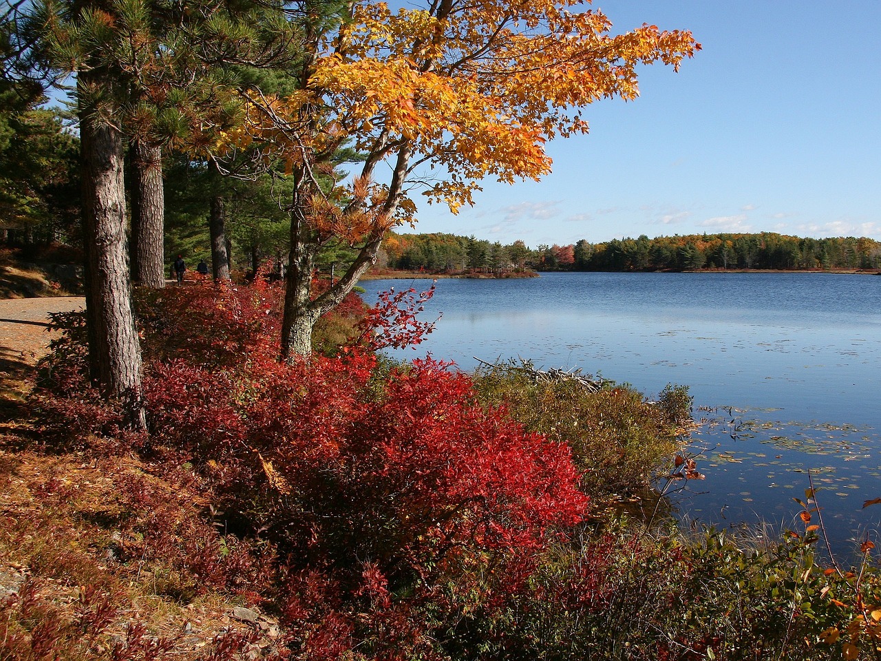 acadia national park, maine, landscape-80357.jpg